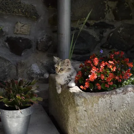 Country house Martiamuno Landetxea *