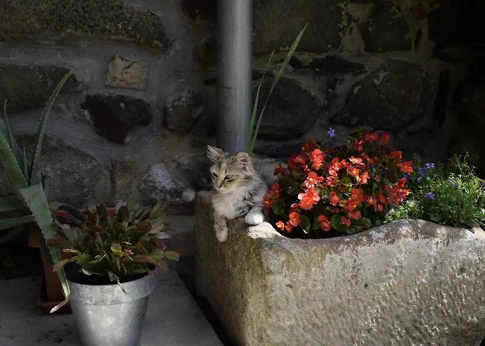 Landhuis Martiamuno Landetxea *